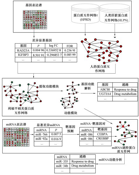 整合多组学数据的生物标志物识别方法及应用彩图7 2