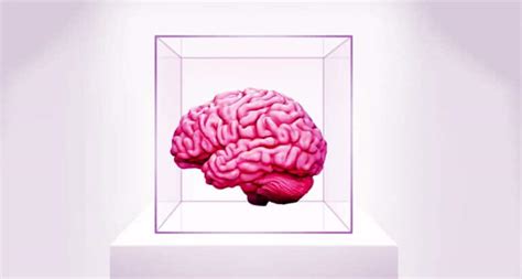 Colorado Now Protects Your Brain Waves Thefutureparty