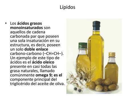 L Pidos Los L Pidos Son Biomol Culas Org Nicas Que Est N Formadas