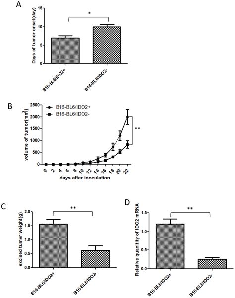 Impact Of Ido2 In Tumor Formation And Growth In Vivo A Knockdown Of