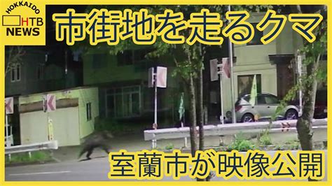 【ヒグマ注意報】北海道室蘭市の市街地で目撃相次ぐクマ 市が映像を公開 世間のおはなし