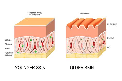 The Types Of Skin Booster Treatments Available In Singapore Sl