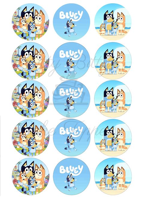 Pre Cut Bluey Cupcake Topper Bluey Cupcake Edible Image Bluey Bingo