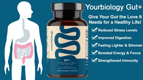 Gut Review Give Your Gut The Love It Needs For A Healthy Life