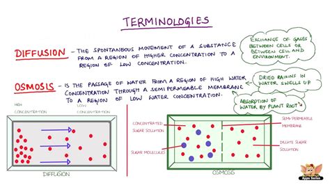 Definition Of Diffusion Osmosis And Types Of Solutions Youtube