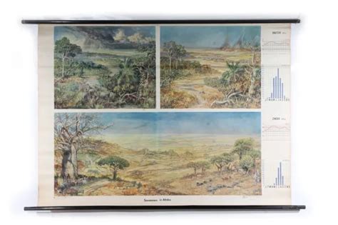 LEHRTAFEL WANDKARTE ROLLKARTE Karte Lehrkarte SAVANNEN IN AFRIKA EUR 66