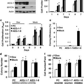 Overexpression Of Astrocyte Elevated Gene Aeg Induces Cell