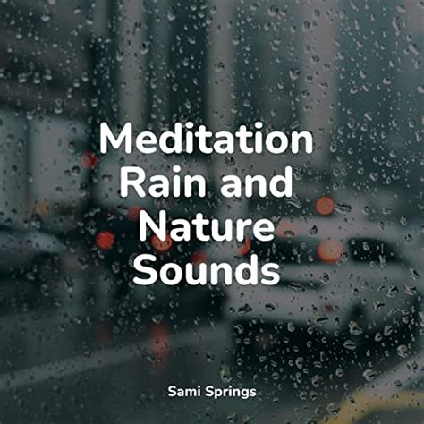 Écouter Meditation Rain And Nature Sounds De Sleep Meditation Dream