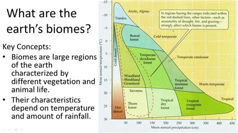 Terrestrial Biomes Summary Chart