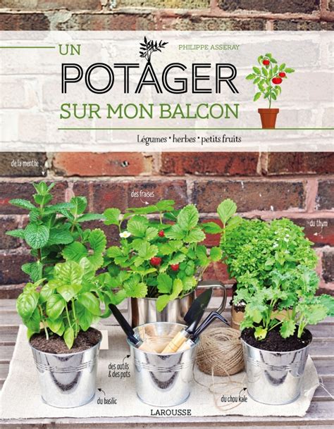 Un Potager Sur Mon Balcon Hachette Fr