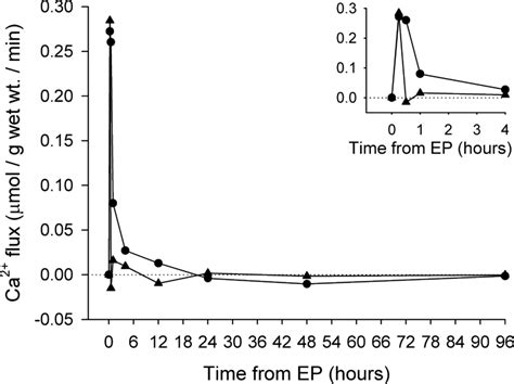 Ca 2 Flux In Rat EDL And Soleus Muscle Following EP At 1 200 V Cm Net