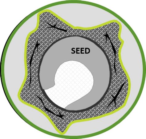 The Role Of Seed Technologies In Sugar Beet Growing Past Present And