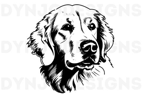 Golden Retriever Png Svg Clipart Vector Graphic By DynjoDesigns