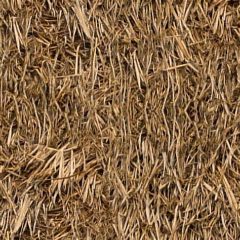 Thatch Roof Texture Seamless