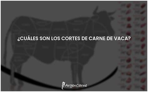 Cortes De Carne De Vaca Todo Lo Que Debes Saber ARGENCARNE