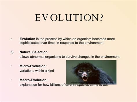 Creationism Vs Evolution Ppt