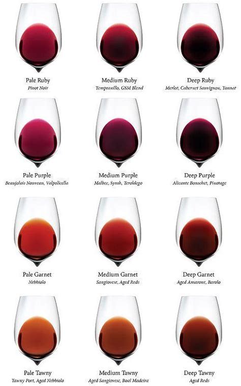 Wein Farben - #Farben #Wein | Wine sommelier, Wine facts, Wine