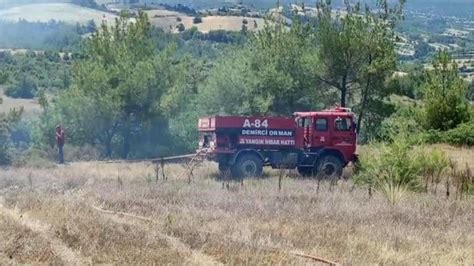 Manisa Da Kan Orman Yang N Nda Hektarl K Alan Zarar G Rd Haberler