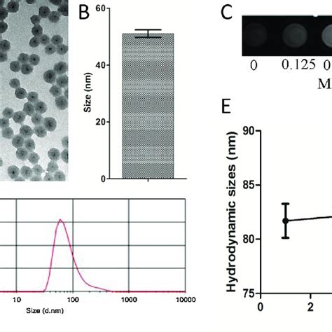 Characterization Of The Prostate Specific Membrane Antigen Psa