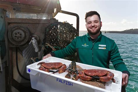 Morrisons Snaps Up Cornish Seafood Supplier Falfish Belfasttelegraph