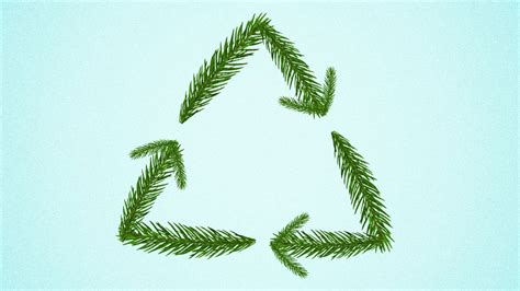 How to recycle your Christmas tree in Denver - Axios Denver