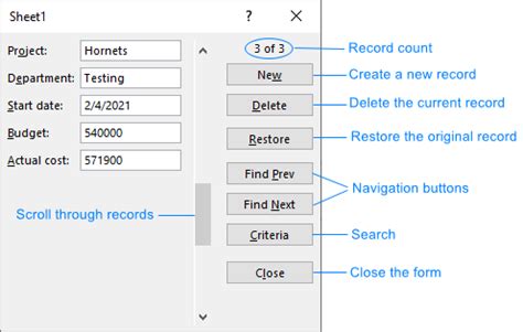 How To Create And Use Data Entry Form In Excel