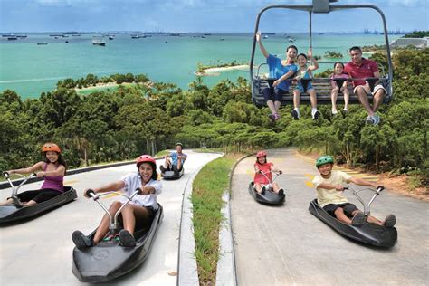 19 Top Activities In Singapore 2020 With Reviews