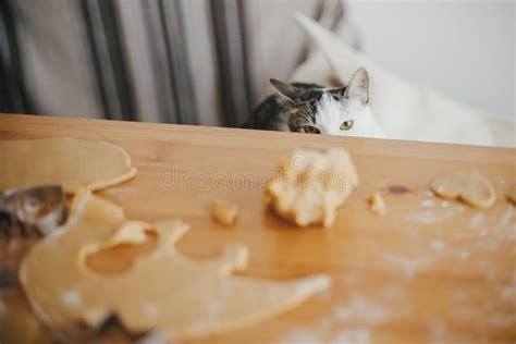 Cute Kitten Looking At Gingerbread Cookies Dough On Wooden Table In