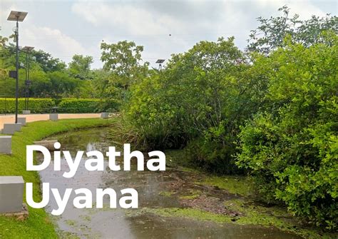 Diyatha Uyana Photos And Directions Travelperi