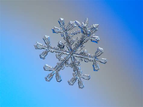 Snowflake Artwork Hd Wallpaper Wallpaper Flare