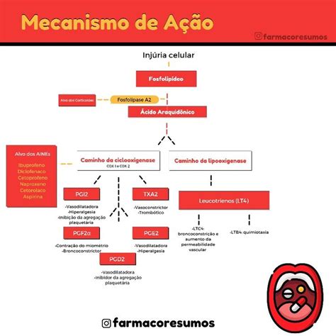 Mecanismo de ação dos AINEs Farmacologia Ácidos Aspirina