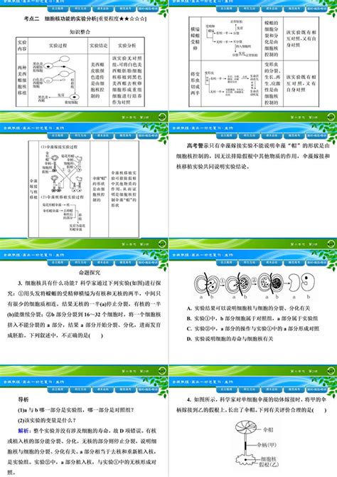 《金版教程》2016届高考生物一轮总复习课件 2 7细胞核—系统的控制中心ppt卡卡办公