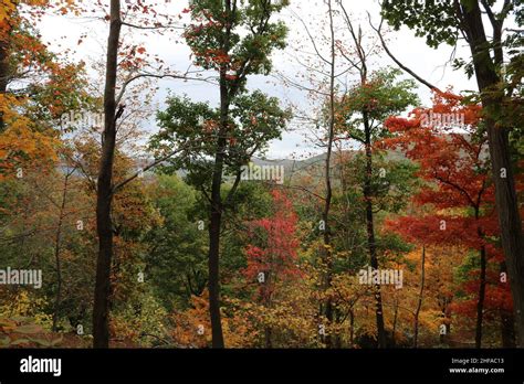 Bear Mountain in the fall Stock Photo - Alamy