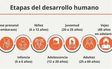 Etapas Del Desarrollo Humano Edades Y Sus Caracteristicas Significados Nbkomputer