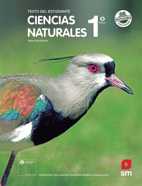 Libro De Ciencias Naturales B Sico Mineduc