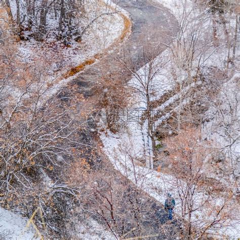 犹他州一个下雪的冬日广场山路弯曲穿过盐湖城一座山的道路的鸟瞰图在寒冷的冬日高清图片下载 正版图片506072951 摄图网