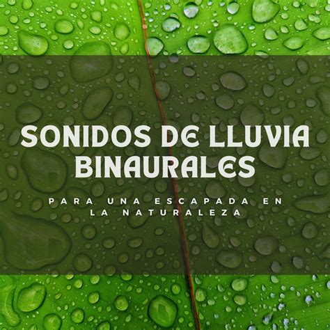 Sonidos De Lluvia Binaurales Para Una Escapada En La Naturaleza Album