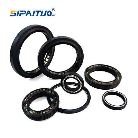 Customized PTFE Carbon Peek Double Lip Piston Rod Rotary Oil Spring