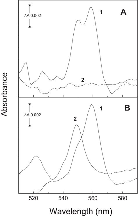 Effect Of Sodium Dithionite On The Association Of Cyt C 550 To PSII