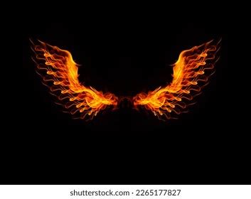 Fire Burning Wings Birds Isolated On Stock Illustration 2265177827