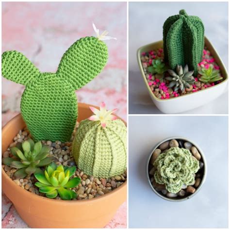 Easy and Adorable Crochet Succulents