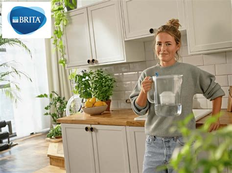 Brita Lexpert De La Filtration Connait Une Croissance Exceptionnelle