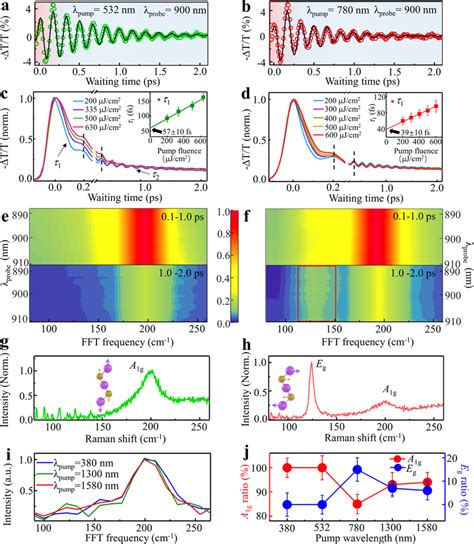 The Coherent Phonon Cp Dynamics Time Resolved Ivs And Raman Spectra