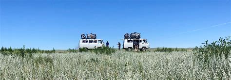 Gobi Desert Plants