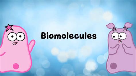 Amoeba Sisters Biological Molecules