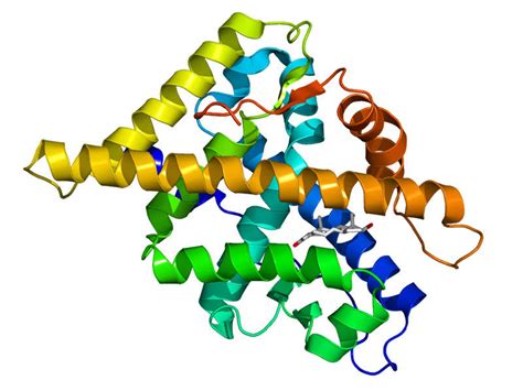 Erleada (apalutamide) for the Treatment of Non-Metastatic Castration ...