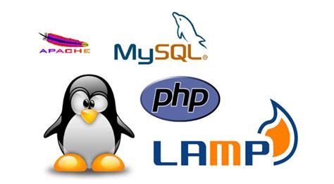 Instalar Apache Web Server En Ubuntu Linux Con Php Mysql