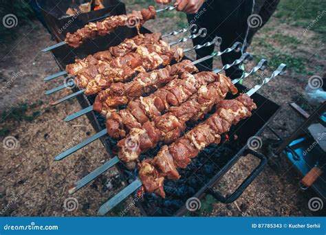 Meat Skewers On The Barbecue Coals Stock Image Image Of Barbecue