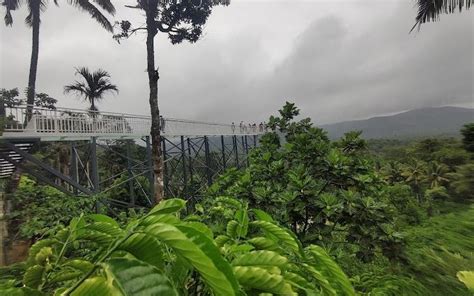 Karnataka Gets Its First Glass Bridge In Coorg That Offers The Best ...