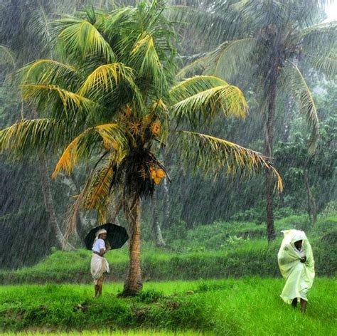 Instagram Photo By The Hindu • Jun 29 2016 At 333am Utc Monsoon